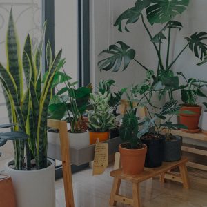 Kryo X26 MTB - Model X